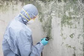 Best Crawl Space Mold Remediation  in Oregon, OH